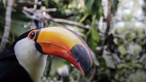 Encuentros con la naturaleza en Temaikèn 